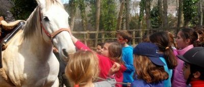 Campamento El Remolino en Cazalla de la Sierra