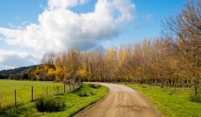 Camino en la Sierra Norte