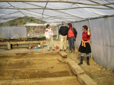 Huerto en el centro de educación ambietal en Sevilla